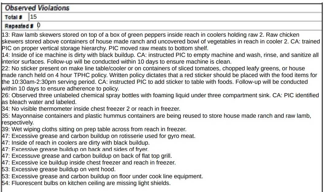 Gyro Spot inspection report
