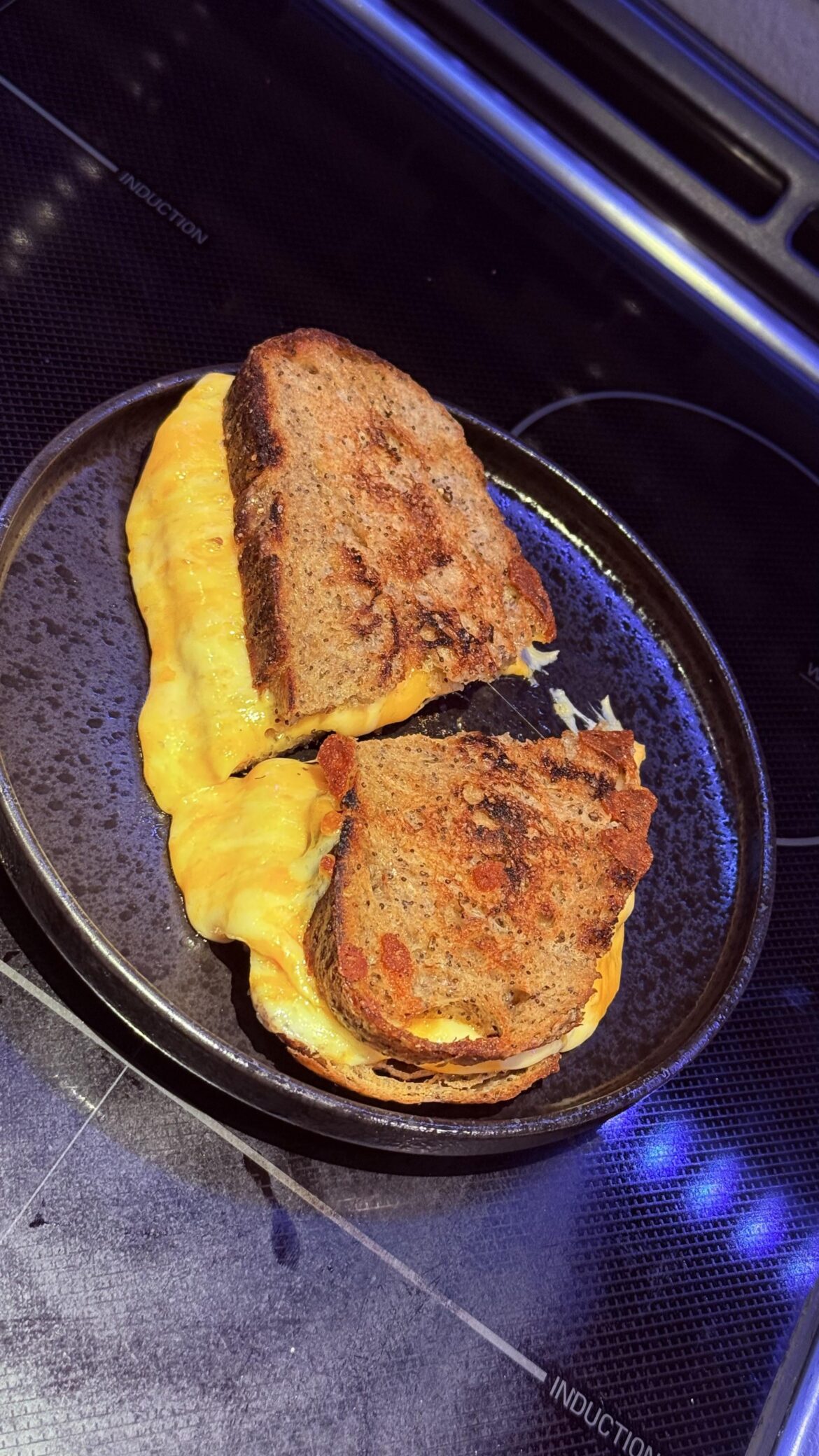 poppyseed sourdough and colby