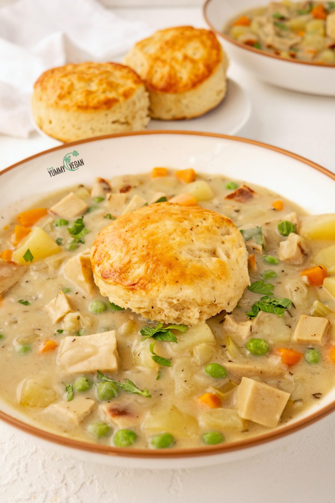 Vegan Chicken Pot Pie Soup