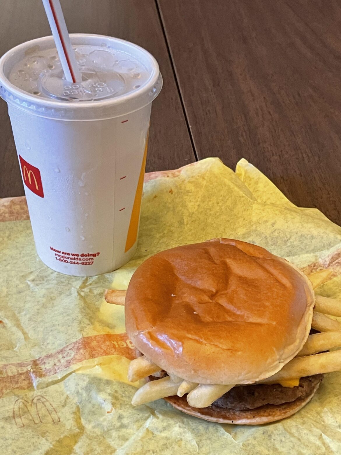 Classic fries & cheese burger