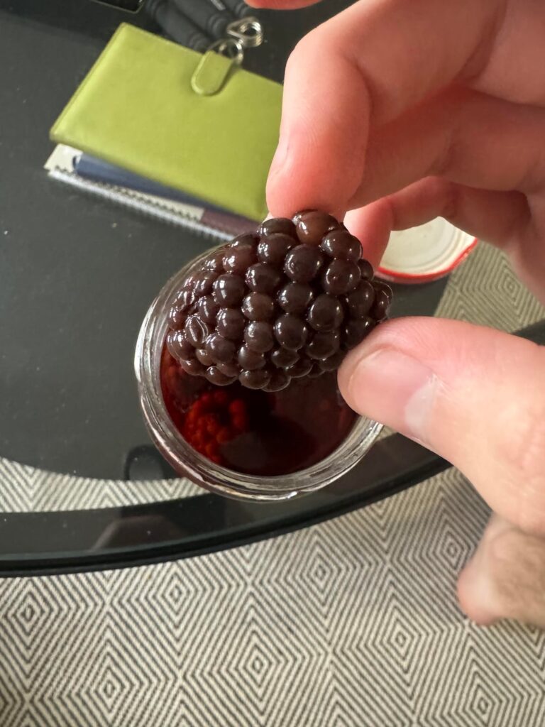 Submerged blackberries in vodka browning Submerged blackberries in vodka browning