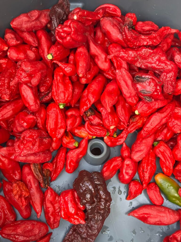 My special insanity sauce