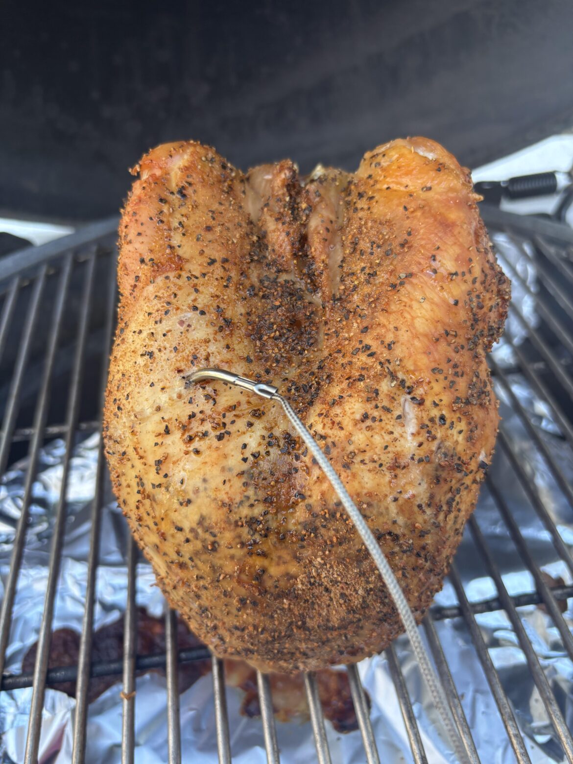 Trial Rub - Turkey Breast