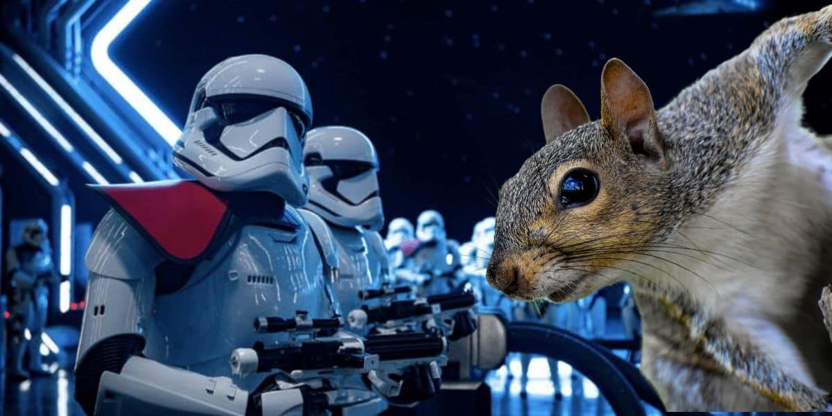 stormtroopers squirrel
