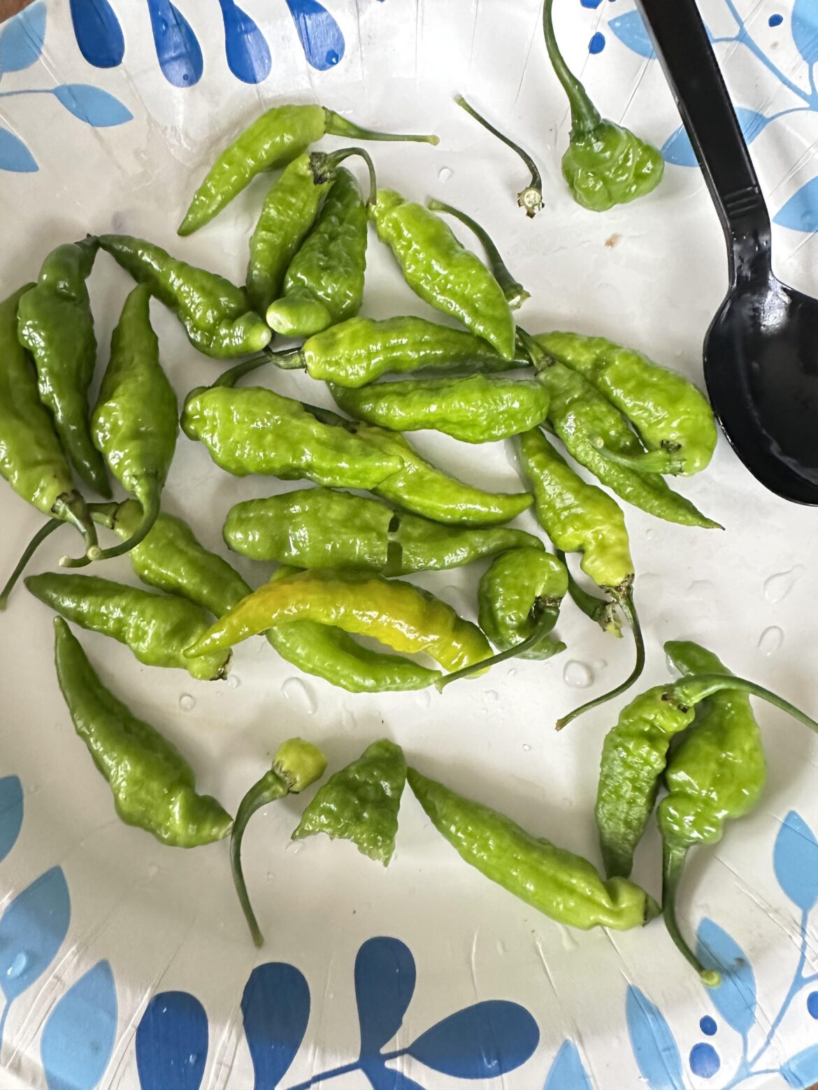 What is this pepper called?