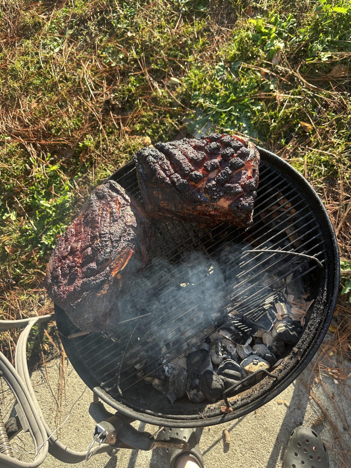 Two Big Butts on the Weber