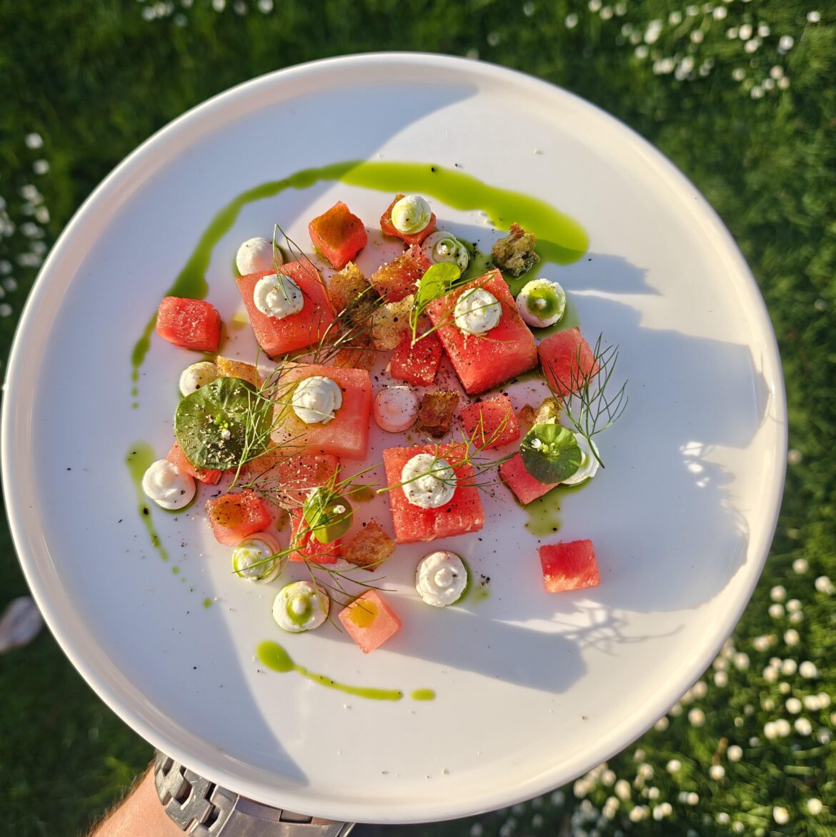 Watermelon, goats cheese, fennel, mint, sourdough