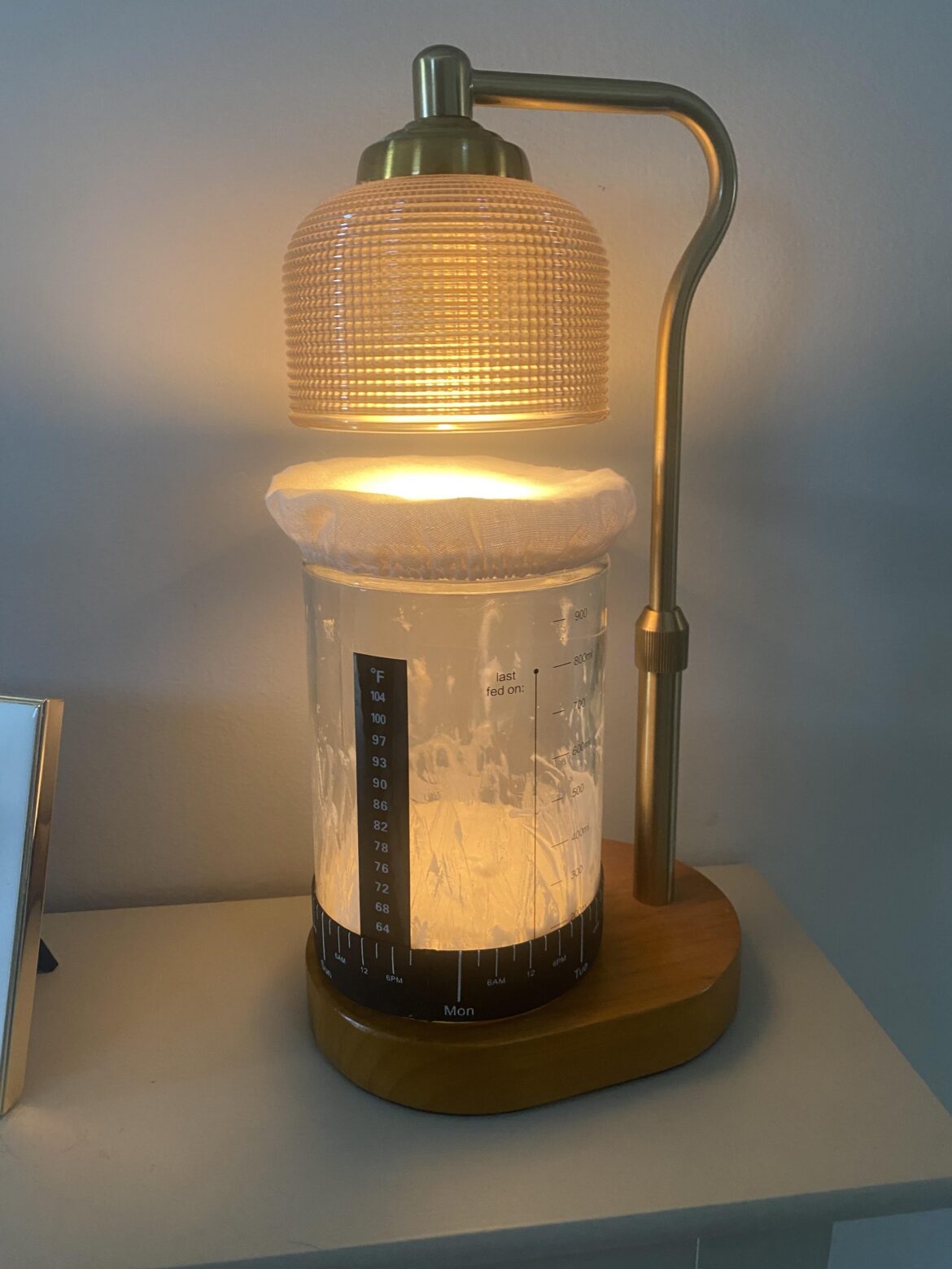 Anyone else use a candle warmer when it gets colder?