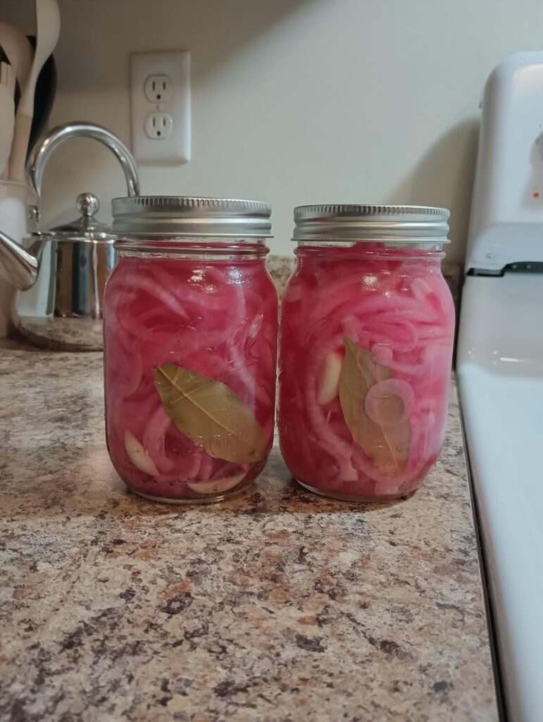 my first pickled onions came out beautifully