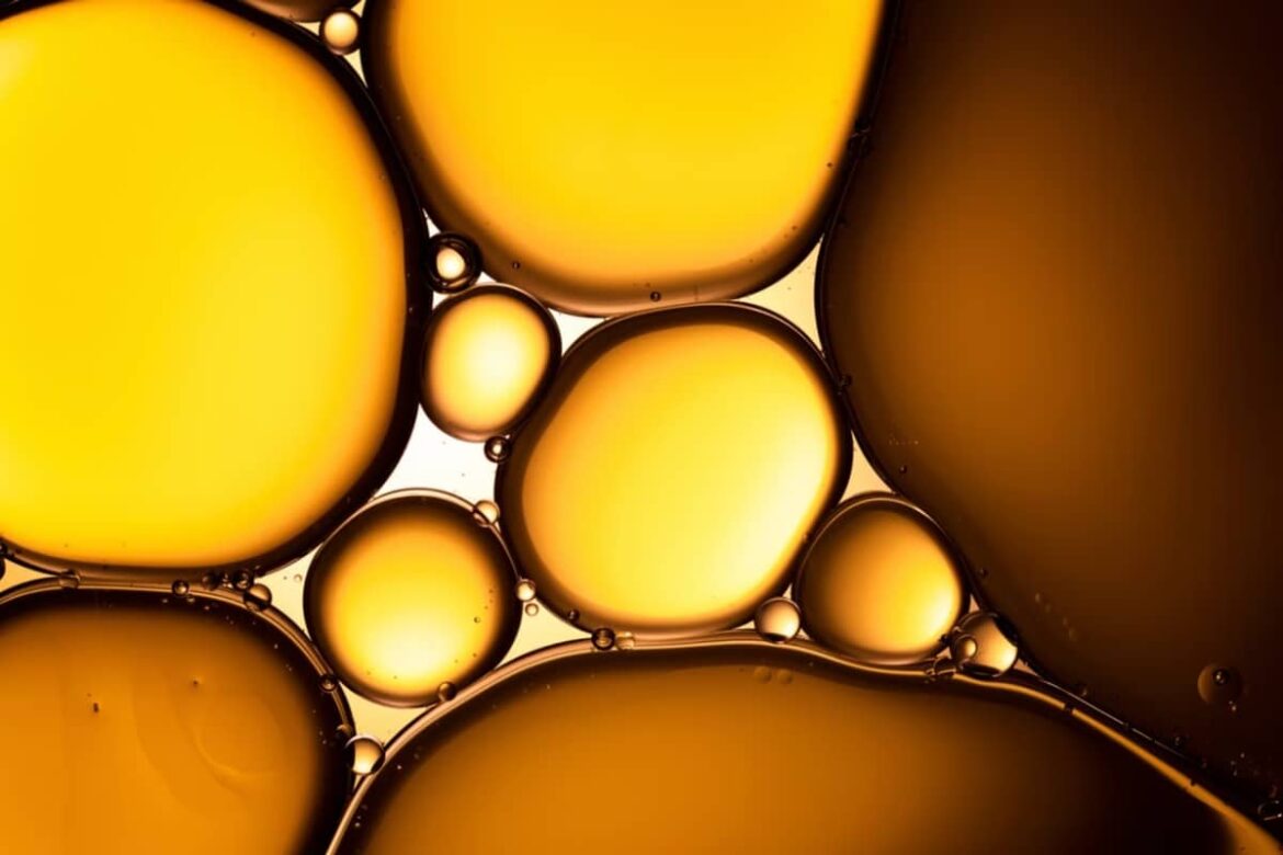 Beware of This Dietary Supplement: It May Be Linked to an Increased Risk of Stroke and Cardiovascular Diseases fish oil stroke