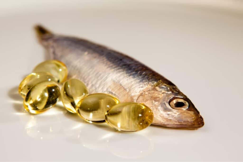 Fish oil - risks of cardiovascular disease