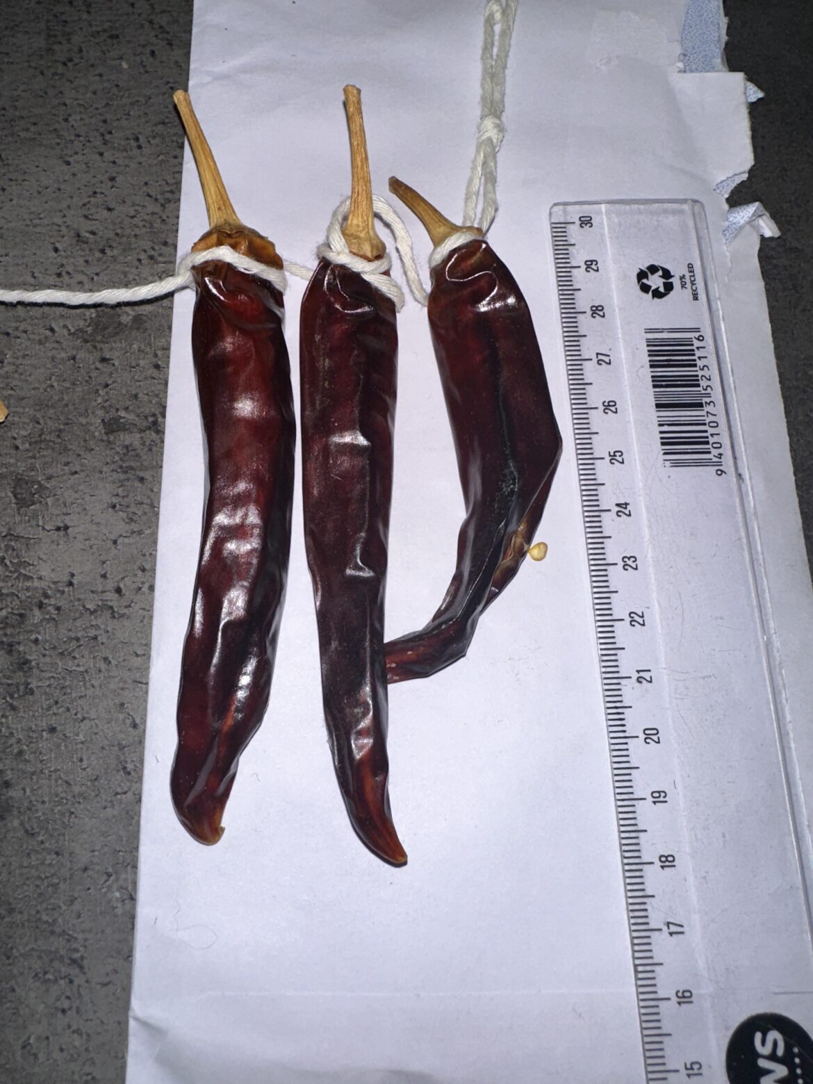 Identification help please 🌶️