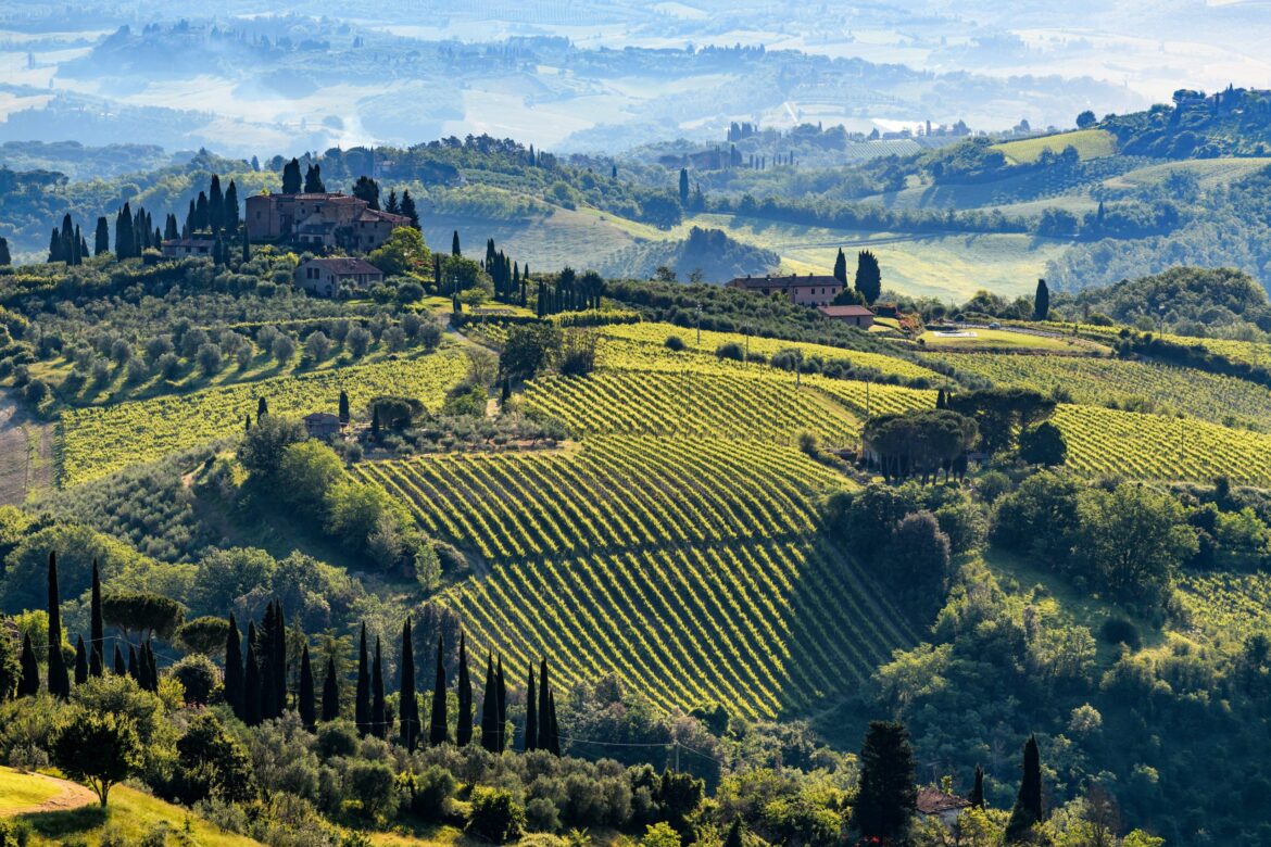 Hors Bordeaux tasting notes: Italy and Spain (reds)