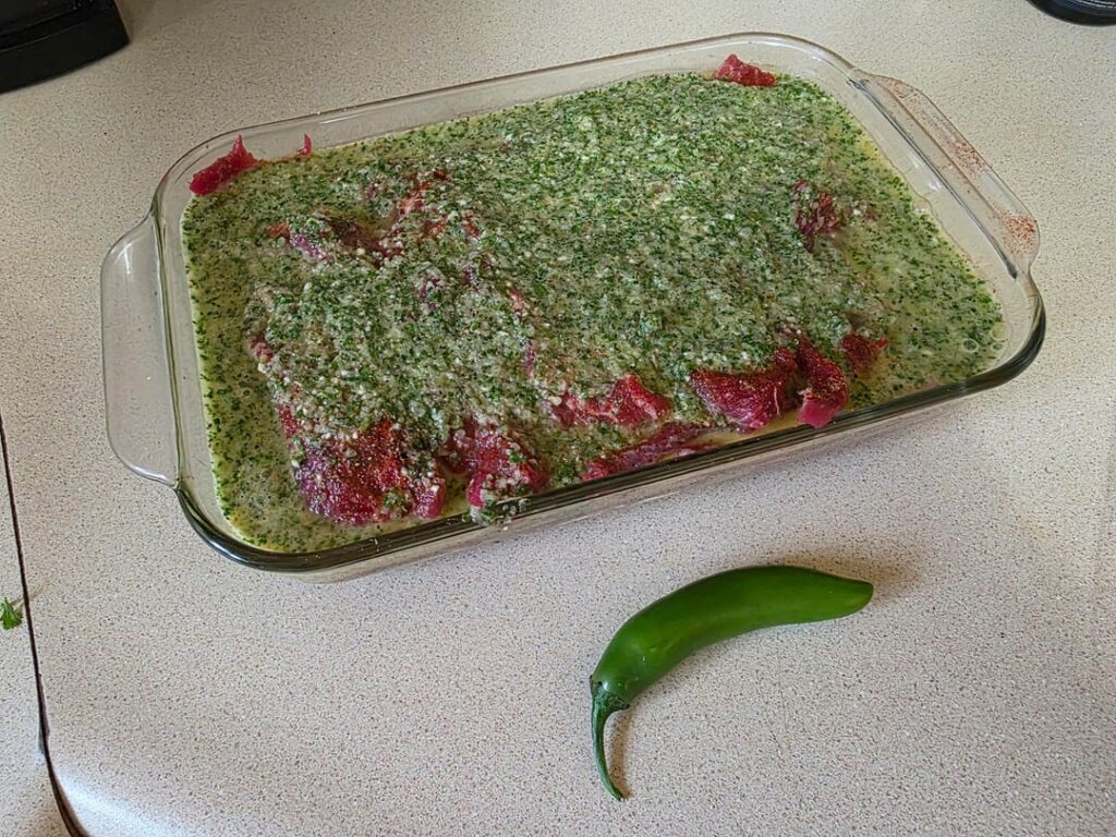 Fireside Tri-Tip Bday taco's for my oldest