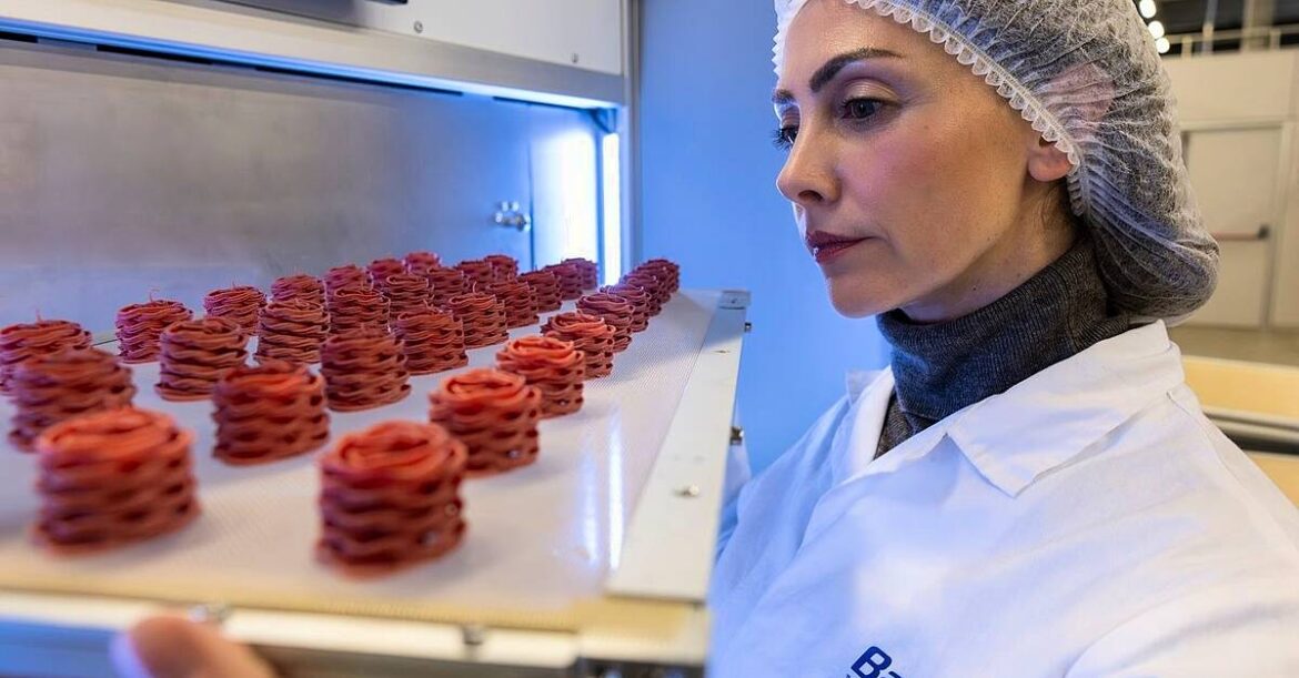 Italian Food Firm Barilla Unveils Global Innovation Centre Italian Food Firm Barilla Unveils Global Innovation Centre
