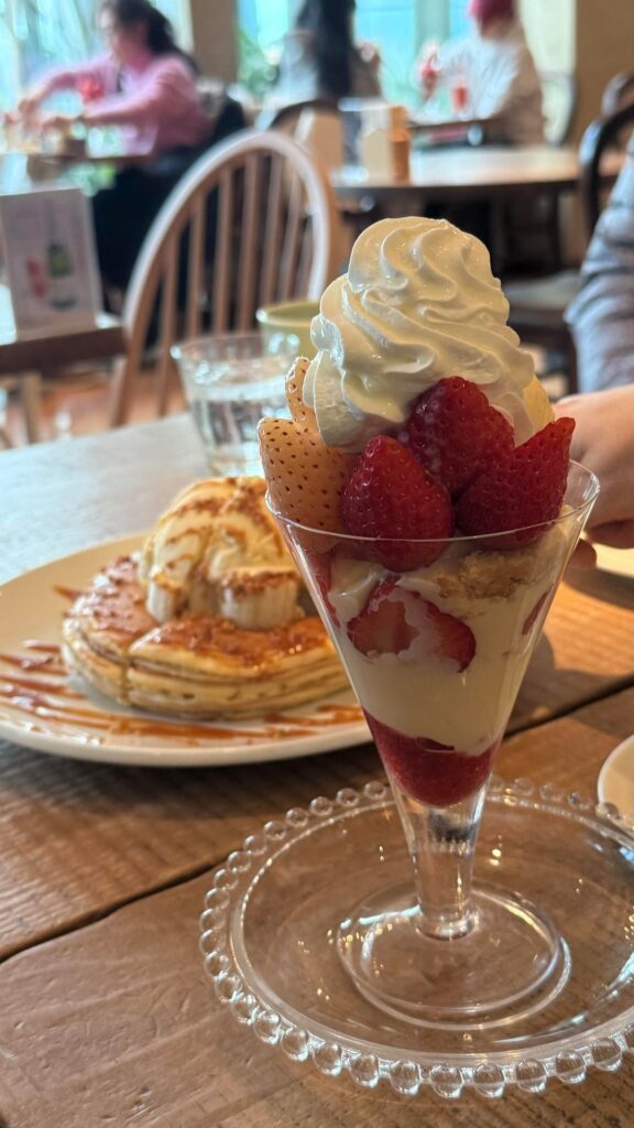 Japan trip Japan trip