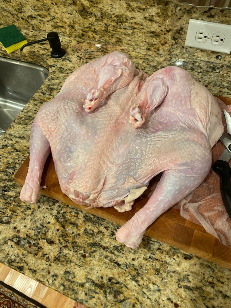 My brother accidentally cockspatched a turkey