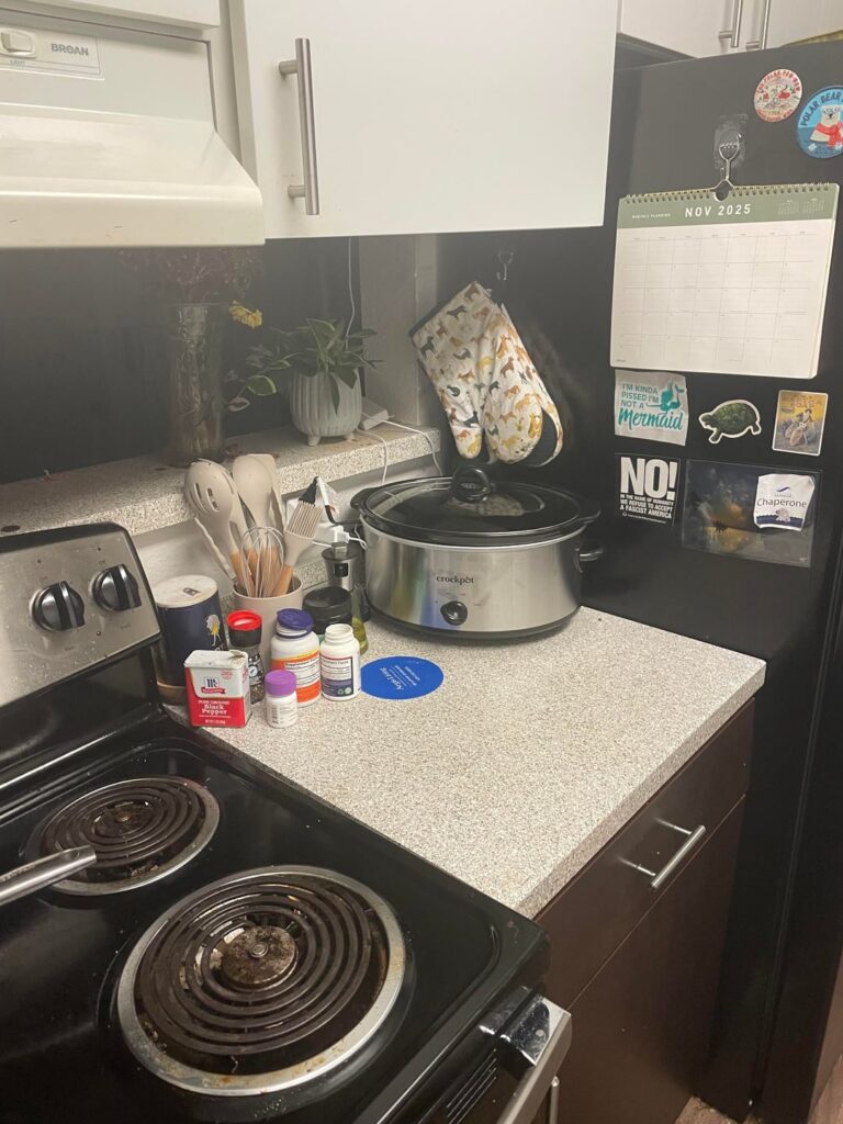 My first crockpot meal! Lemon orzo soup! I think I put too much cream and not enough broth so its kind of like a stew but it is delicious and was pretty easy! Thank you all for the suggestions I cant wait to share the soup with my friends!