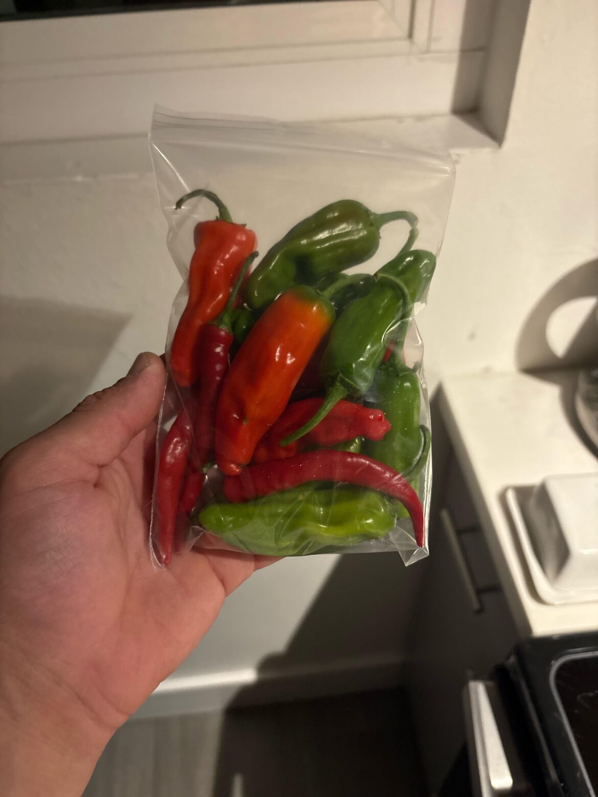 Can anyone id these?