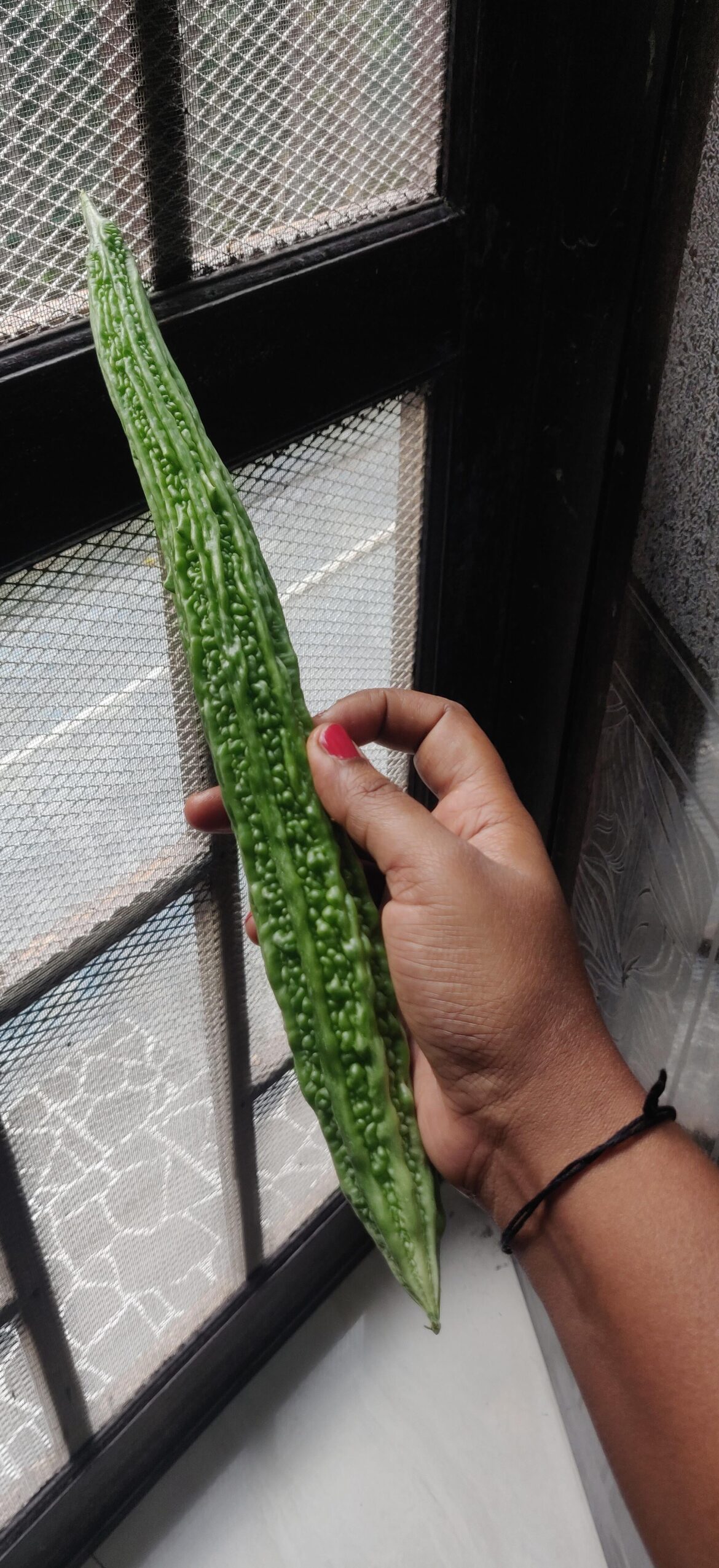Bittergourd - is there any other name for this vegetable? Oh someone said, it's a fruit, is it?