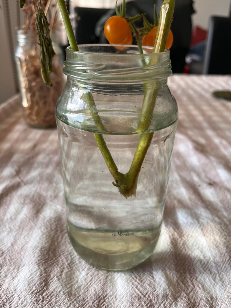 The storm snapped off this branch