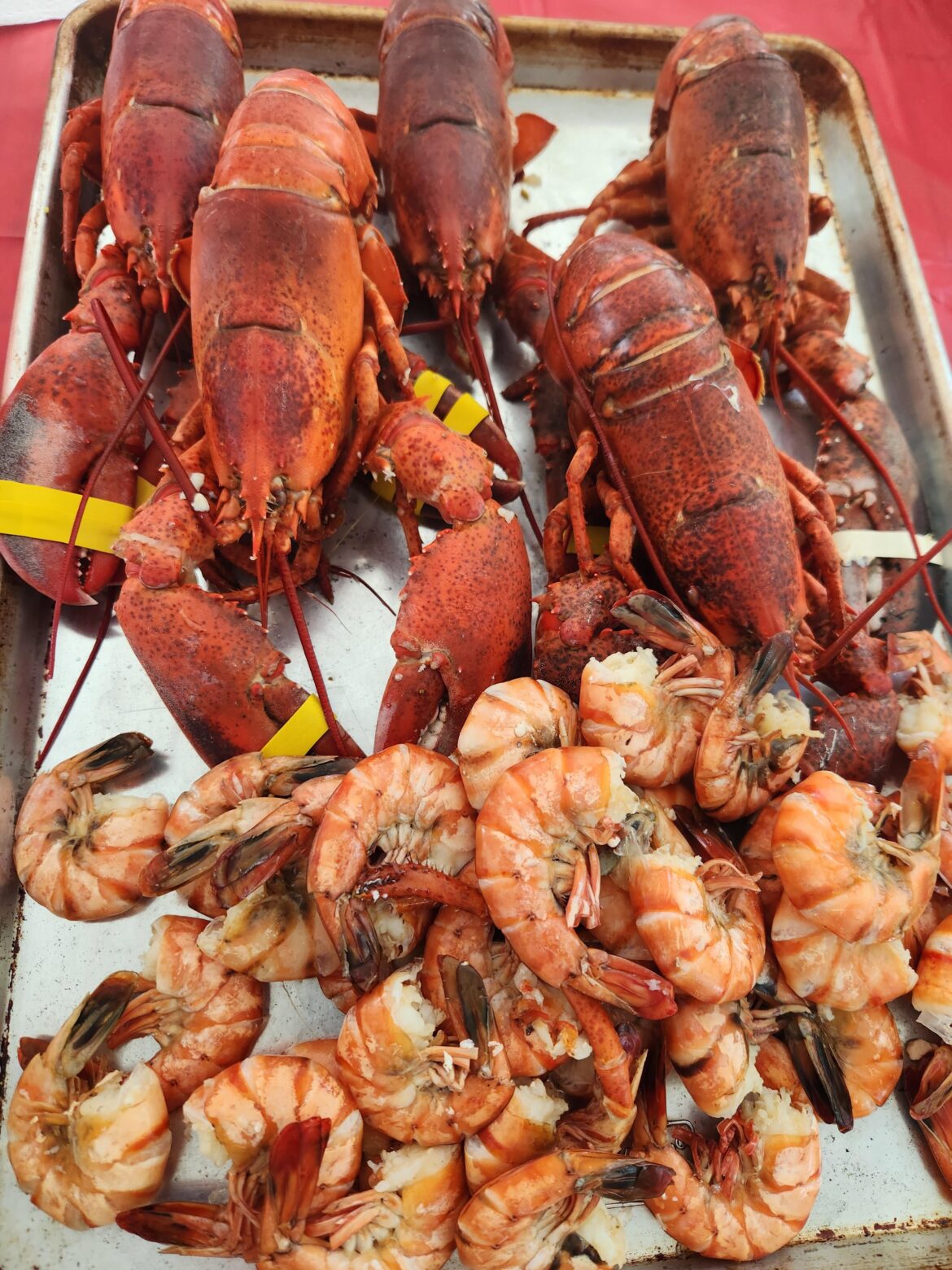 Lobsters and Shrimp!