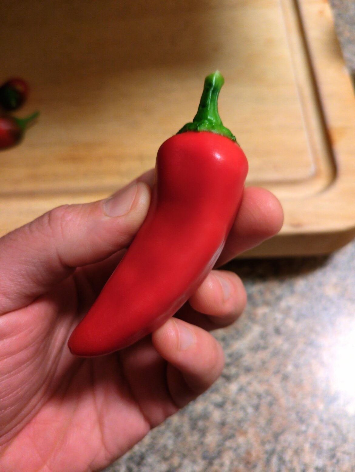 Now that's a photogenic Fresno pepper.