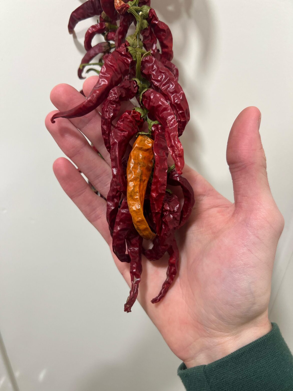Dried cayenne peppers spoilage?