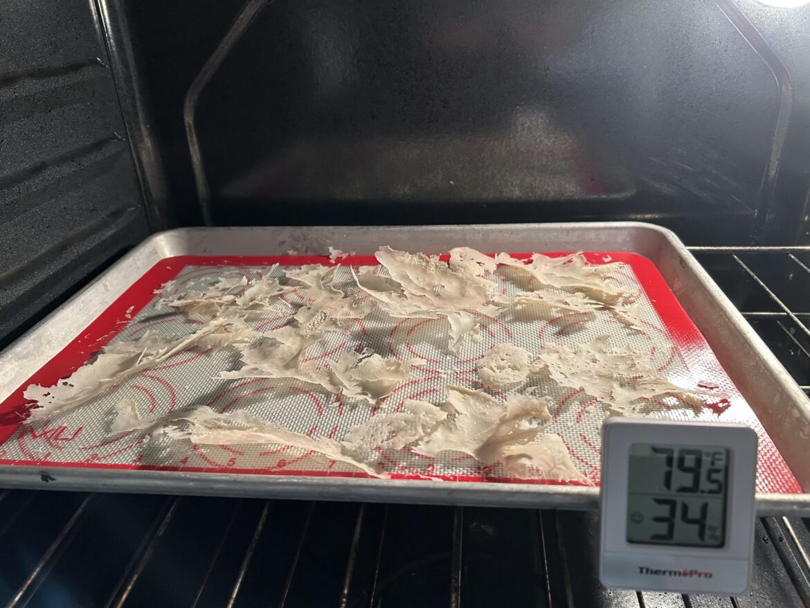 Good Time To Dry Out Some of your Precious Starter!