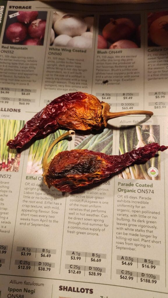 Hello fellow nerds! Ive been drying some Hungarian hots in paper bags. I check them weekly, but our humidity has jumped hard the last few days. I assume the black is no good, but the yellow seems okay? Or should I toss it too? Pic 2 of some nice looking ones. So excited to make my first batch of rub
