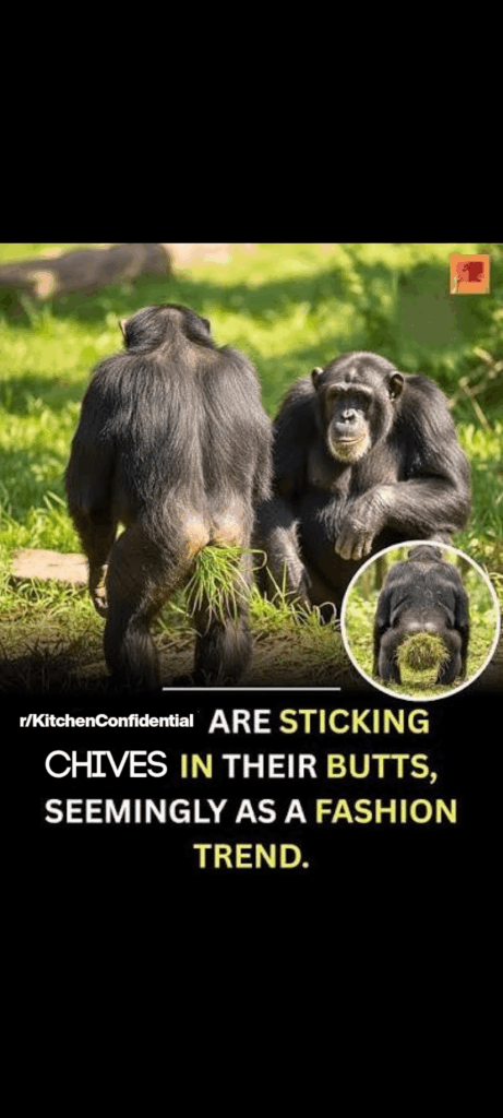 I'm here for the long haul