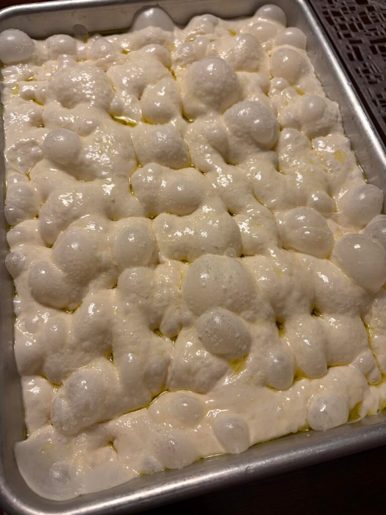 2nd Focaccia-100%hydration