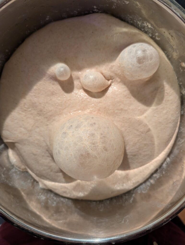 I think my dough was trying to tell me something