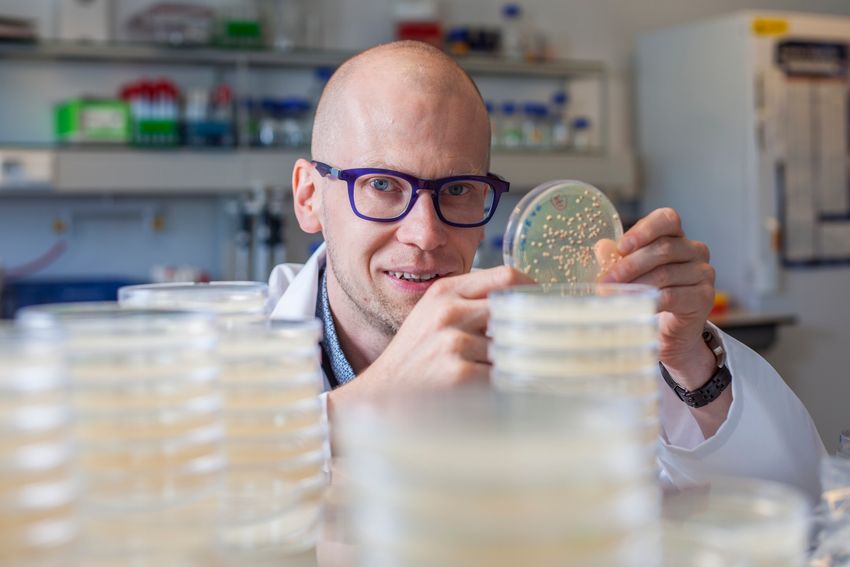 Kevin Verstrepen, wearing glasses, a patterned shirt, and a white lab coat, sits in his laboratory bench behind a stack of agar plates. He’s holding one up and pointing at it. Kevin Verstrepen, wearing glasses, a patterned shirt, and a white lab coat, sits in his laboratory bench behind a stack of agar plates. He’s holding one up and pointing at it.