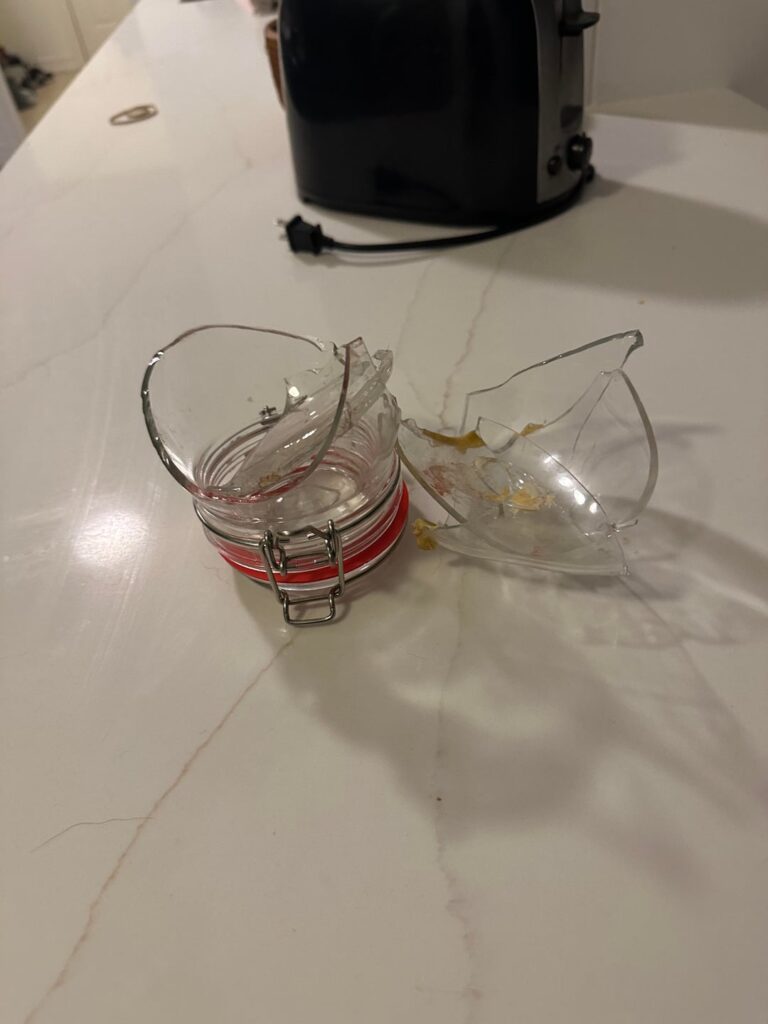 My dog ate my 2 month old sourdough starter My dog ate my 2 month old sourdough starter