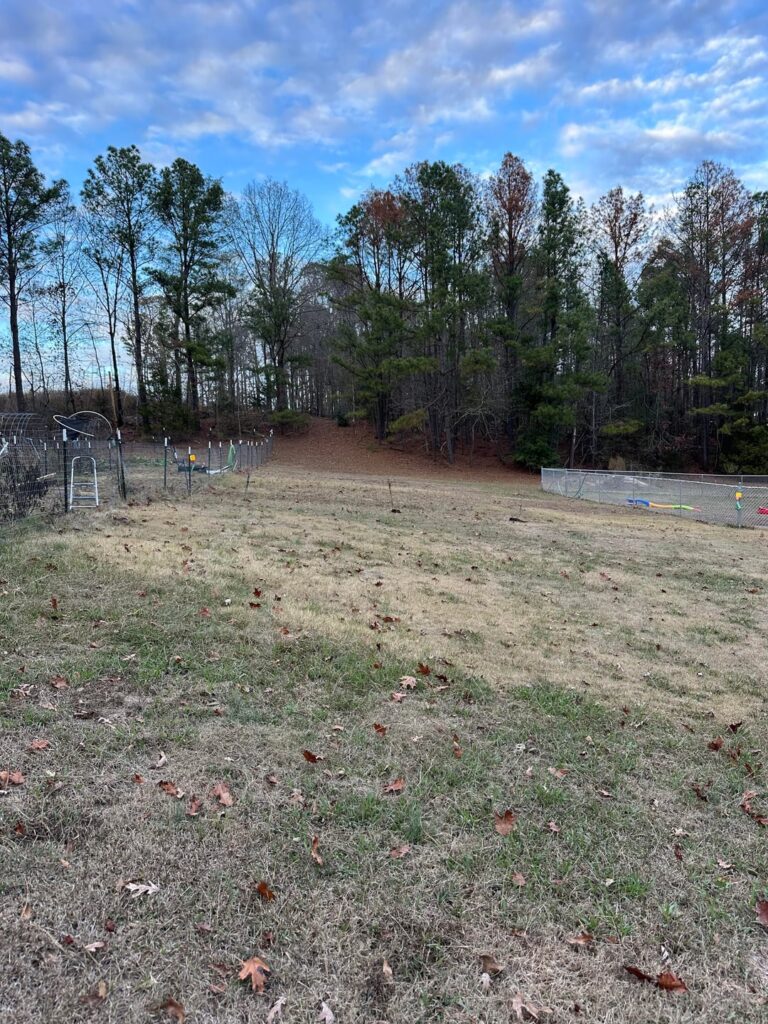 Can I garden on a slope without spending thousands on raised beds, terraces, and retaining walls? Can I garden on a slope without spending thousands on raised beds, terraces, and retaining walls?