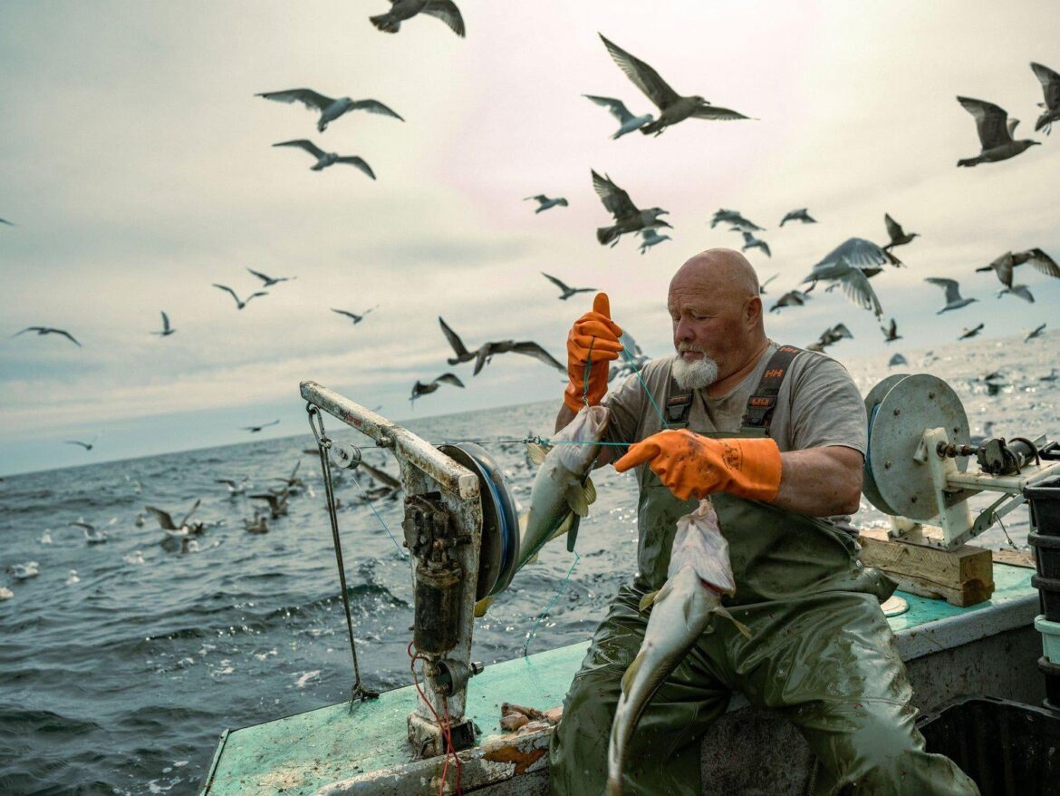 Really cool story about the fishermen who supply Pearl Morissette