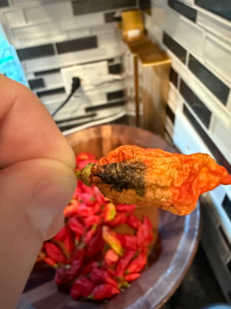 Is this mold on my peppers?