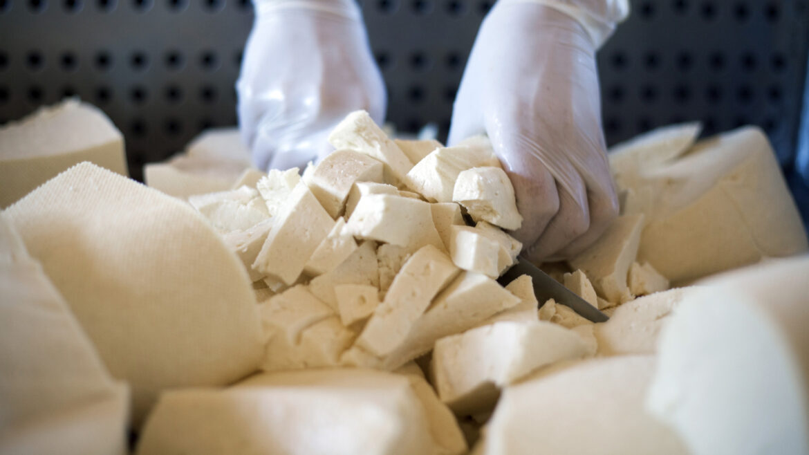 The Country That Produces The Most Cheese Worldwide Isn’t Italy Or France The Country That Produces The Most Cheese Worldwide Isn't Italy Or France