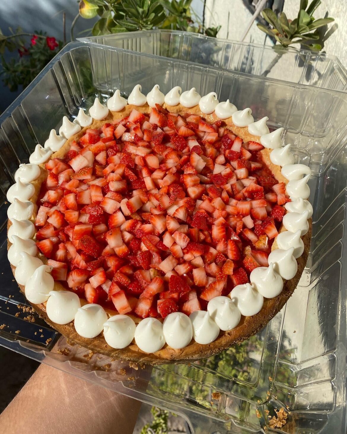 a cheesecake with lots of strawberries 🍓🍓🍓🍓🍓🍓
