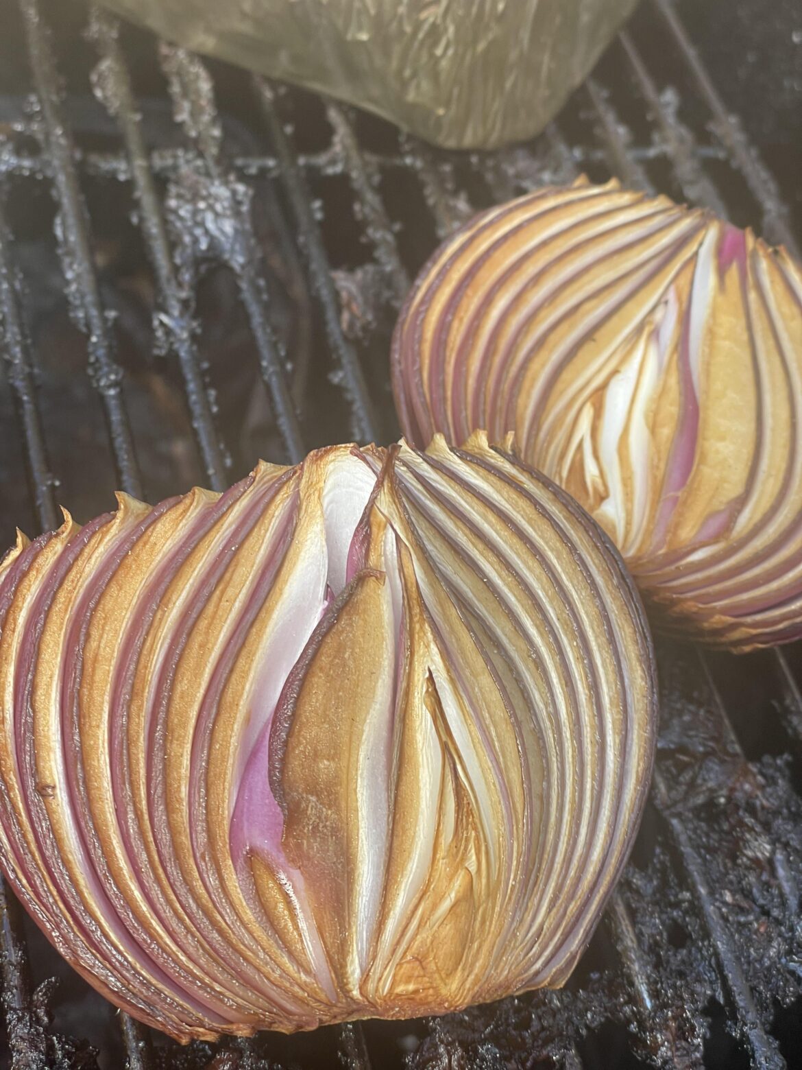 A Beautiful Smoked Onion