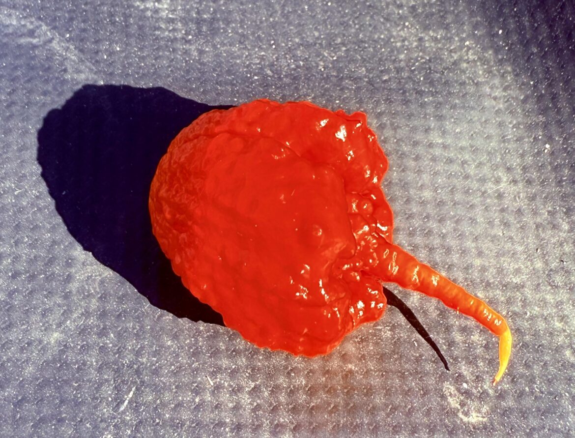 Experiment worked… too well Experiment worked… too well