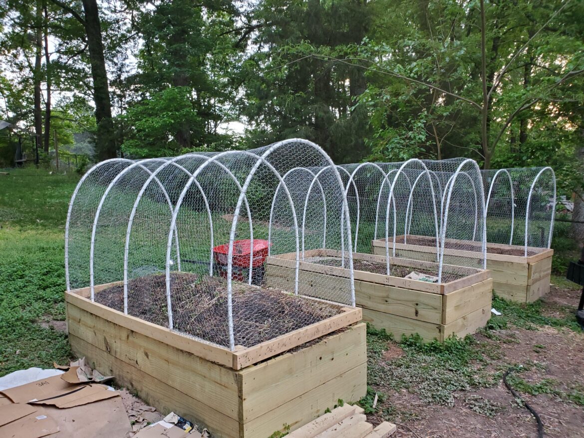 Raised bed frame/cover question: Should I build a hardware cloth frame for my bed to keep animals out? Raised bed frame/cover question: Should I build a hardware cloth frame for my bed to keep animals out?
