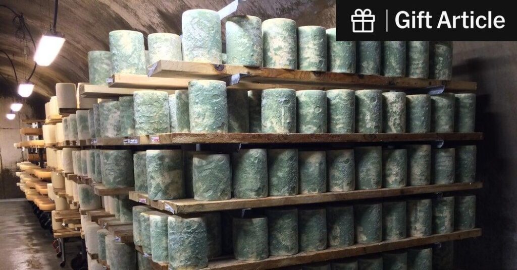 Why the Green Cheese Turned White