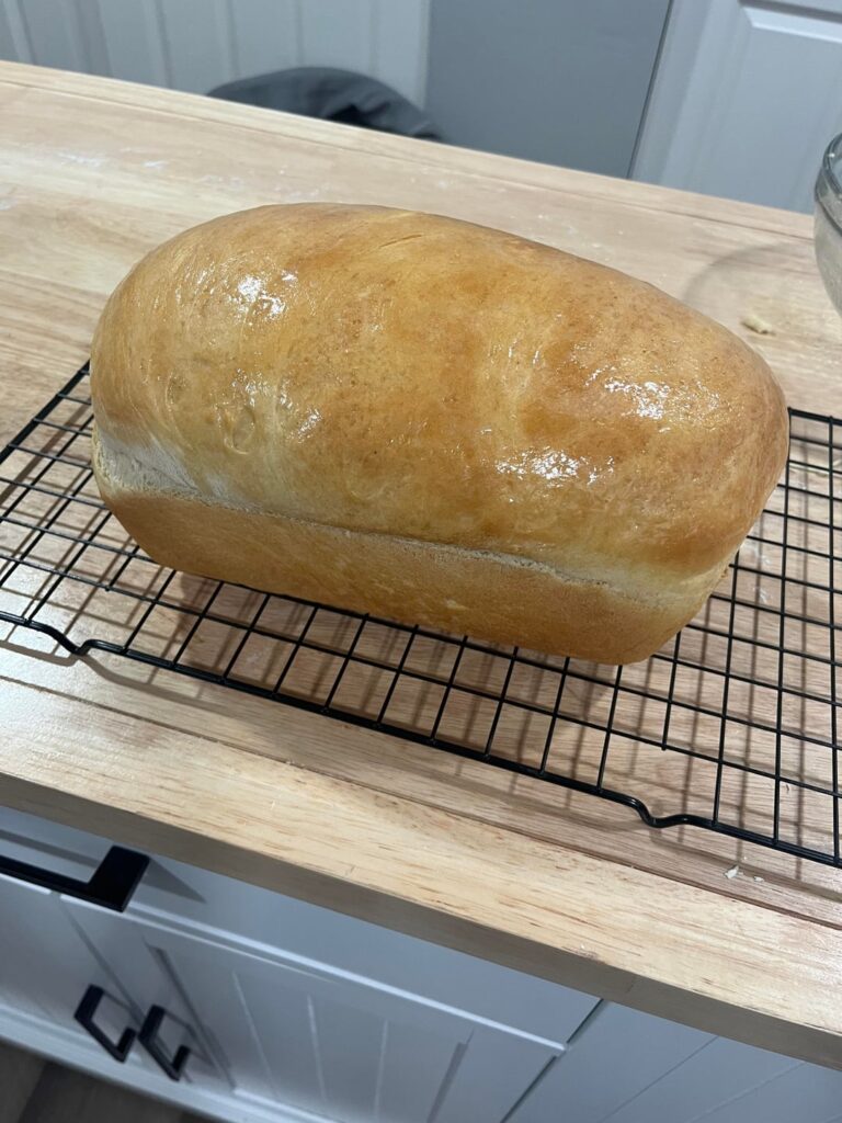 Still getting comfortable with making bread. But this is probably the best loaf I've made to date