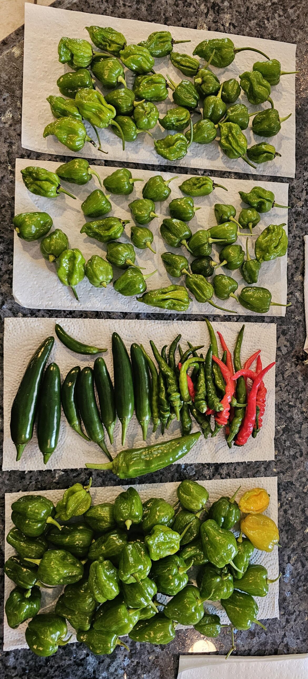 Mixed Fare – help to ID Mixed Fare - help to ID