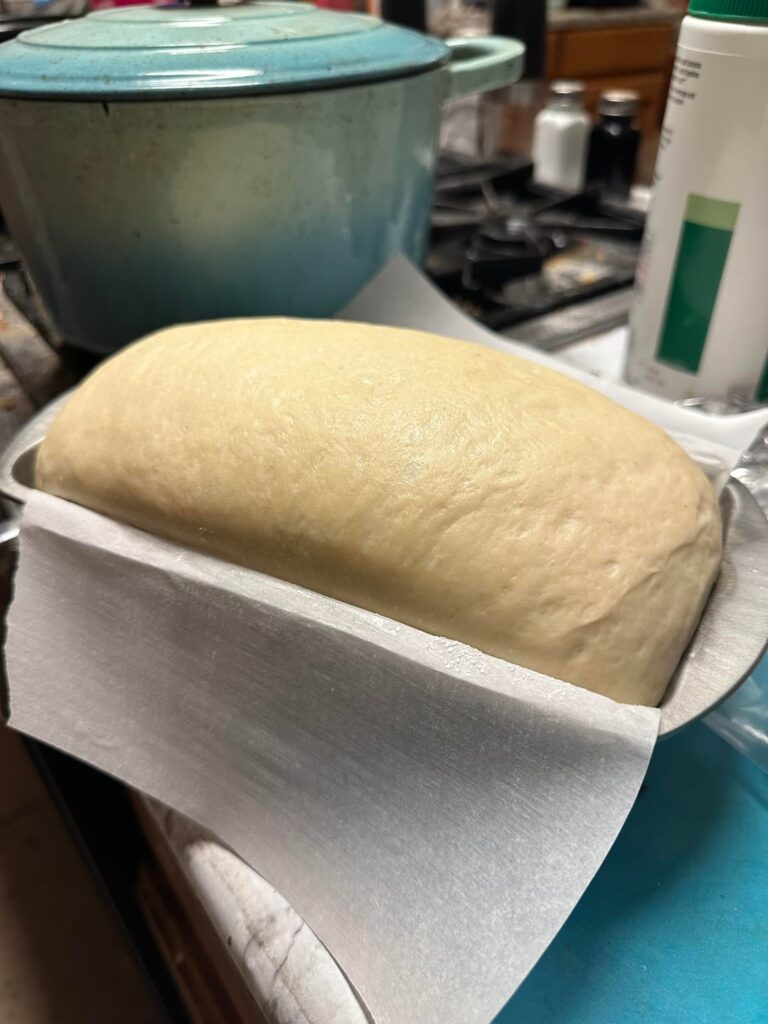 I made my first sandwich loaf!