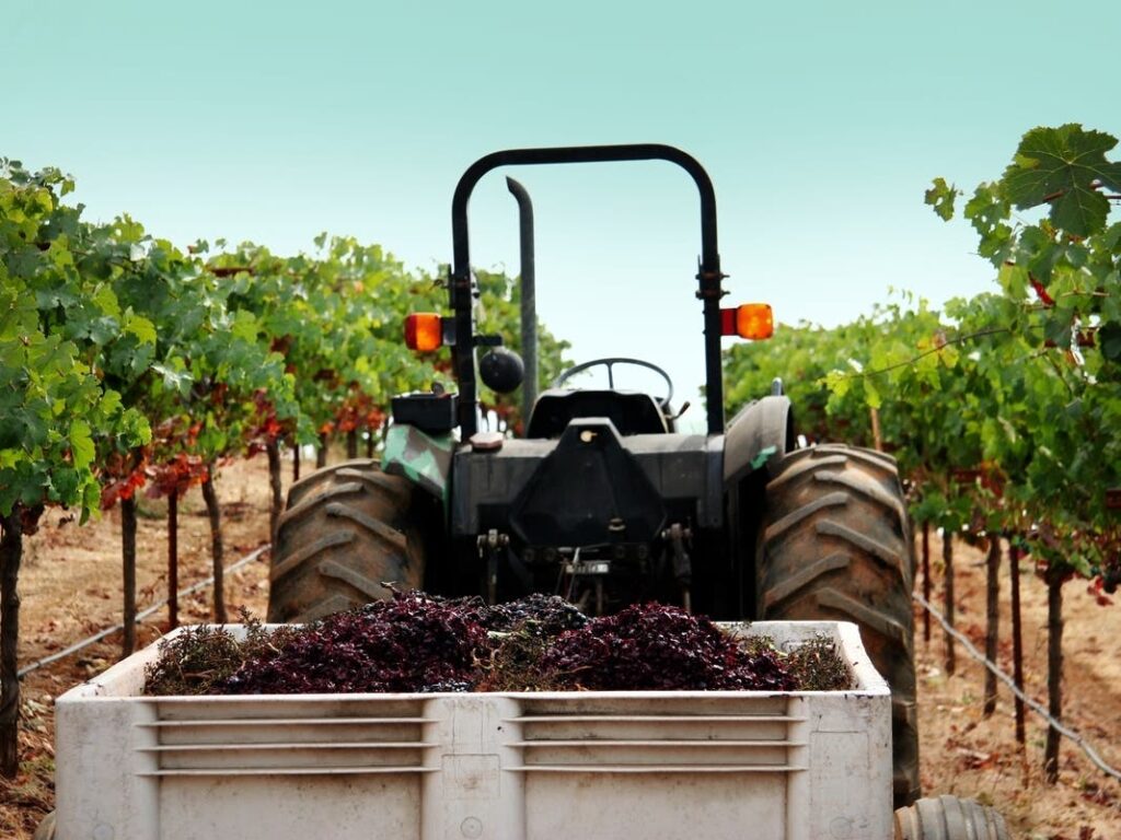 Napa Valley Economy Strong, Wine Industry ‘Solid,” But Housing…: Report Patch News