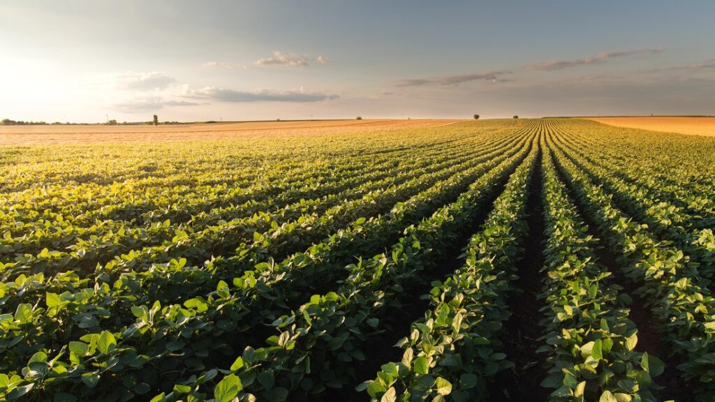 Solid tractor sales signal a favourable agricultural season ahead for South Africa Solid tractor sales signal a favourable agricultural season ahead for South Africa