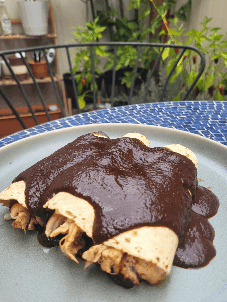 Smoked Turkey in Mole Negro for my lady and Enmoladas for me...Homemade Mole Negro is a hit everytime.